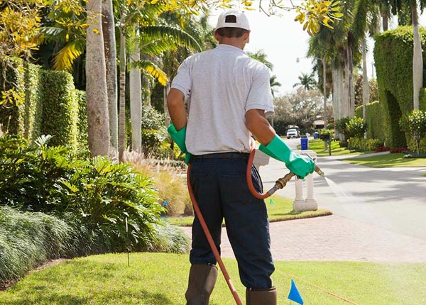 About Hilo HI Pest Control Pros